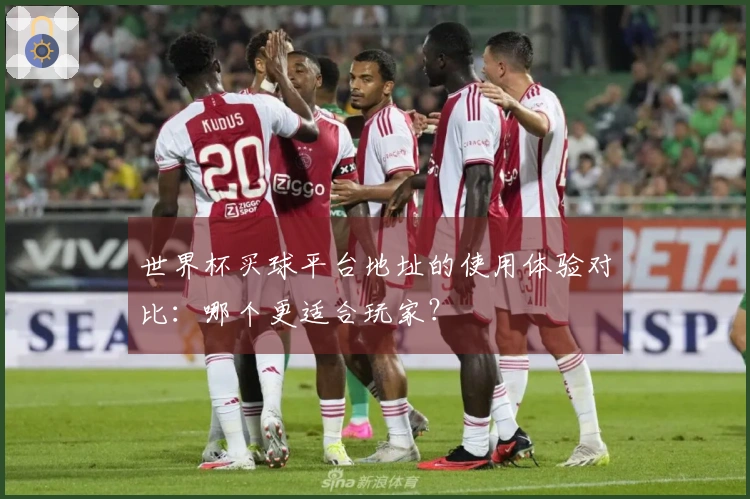 世界杯买球平台地址的使用体验对比：哪个更适合玩家？
