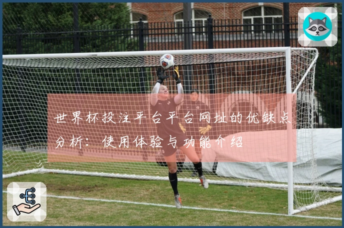 世界杯投注平台平台网址的优缺点分析：使用体验与功能介绍
