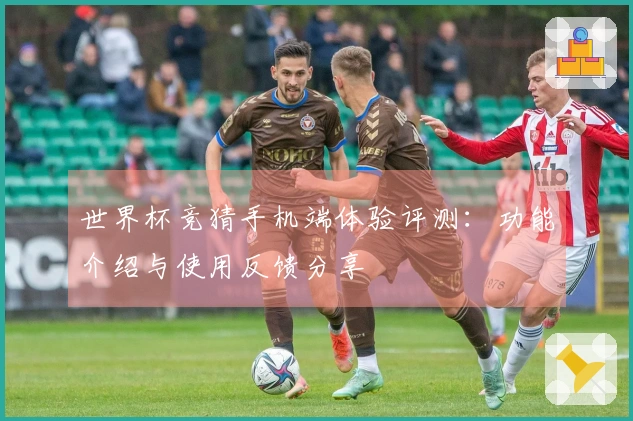 世界杯竞猜手机端体验评测：功能介绍与使用反馈分享