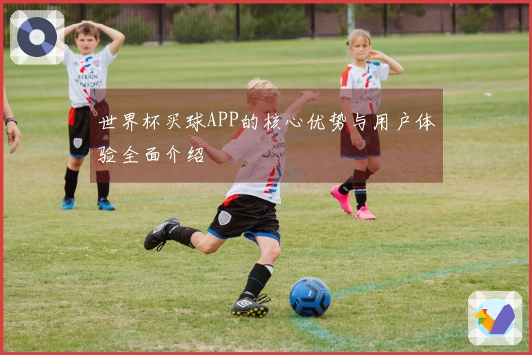 世界杯买球APP的核心优势与用户体验全面介绍