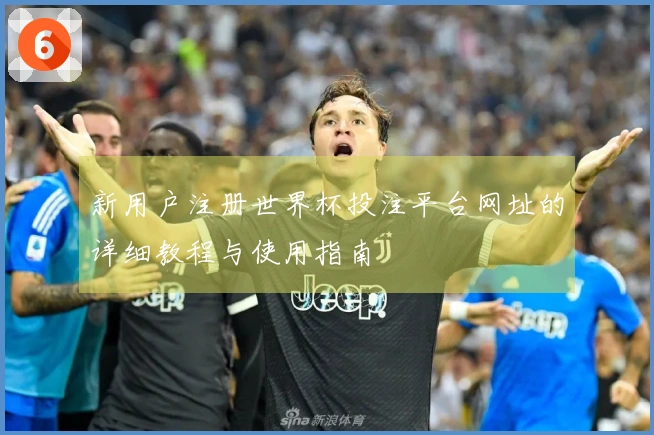 新用户注册世界杯投注平台网址的详细教程与使用指南