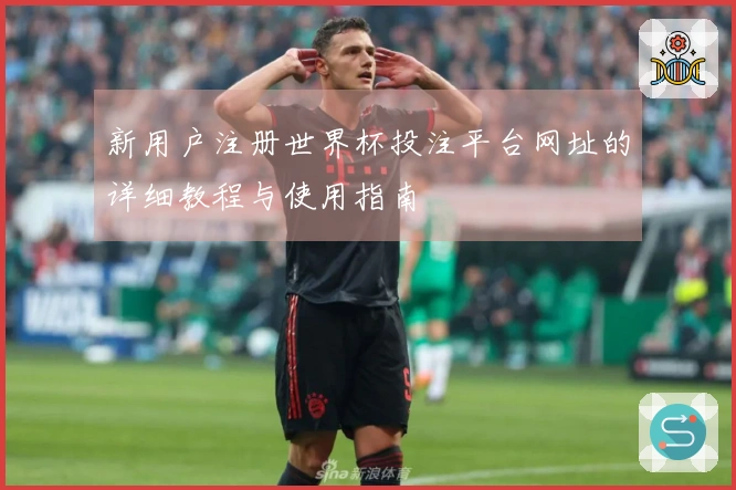 新用户注册世界杯投注平台网址的详细教程与使用指南