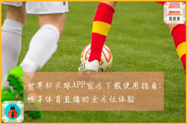 世界杯买球APP官方下载使用指南:畅享体育直播的全方位体验