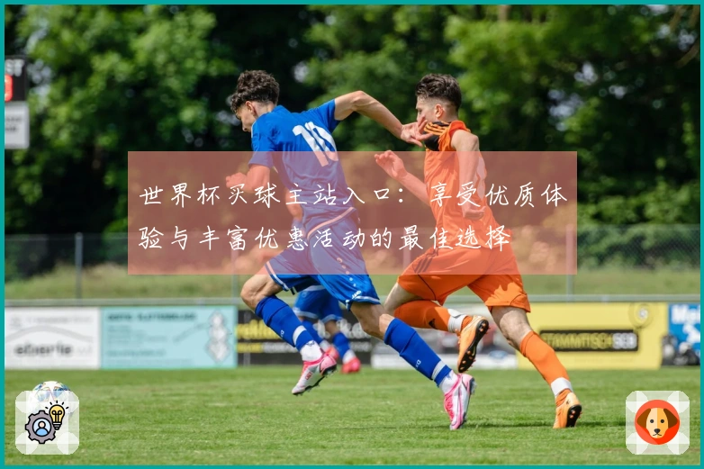 世界杯买球主站入口:享受优质体验与丰富优惠活动的最佳选择