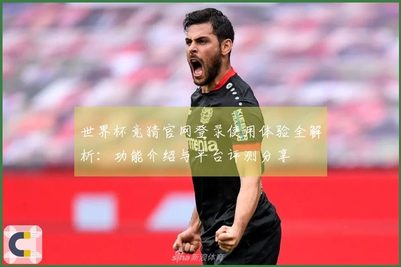 世界杯竞猜官网登录使用体验全解析：功能介绍与平台评测分享