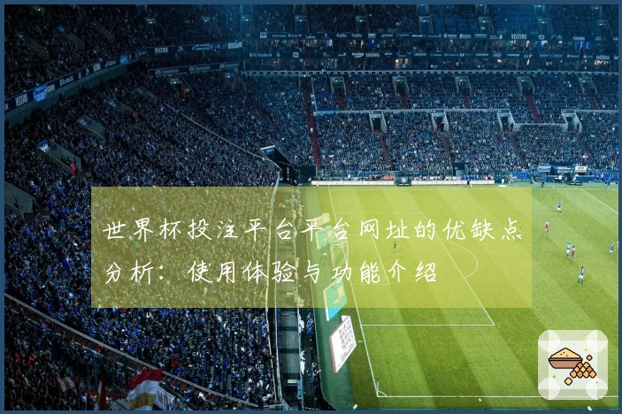 世界杯投注平台平台网址的优缺点分析：使用体验与功能介绍