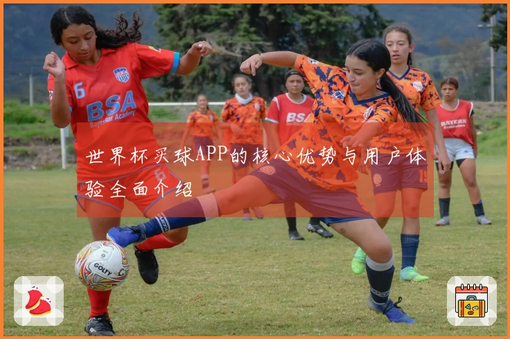 世界杯买球APP的核心优势与用户体验全面介绍